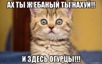 ах ты ж ебаный ты нахуй!! и здесь огурцы!!!