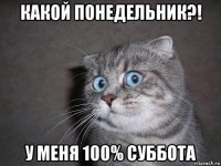 какой понедельник?! у меня 100% суббота