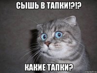 сышь в тапки!?!? какие тапки?