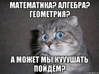 математика? алгебра? геометрия? а может мы кууушать пойдём?