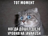 тот момент когда дошел до 10 уровня на javarush