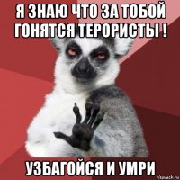 я знаю что за тобой гонятся терористы ! узбагойся и умри