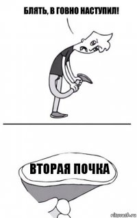 ВТОРАЯ ПОЧКА