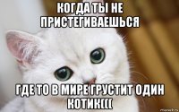 когда ты не пристегиваешься где то в мире грустит один котик(((