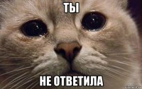 ты не ответила