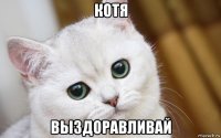 котя выздоравливай