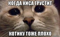 когда киса грустит котику тоже плохо