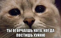  ты огорчаешь кота, когда постишь хуйню