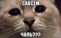 савсем чоль???