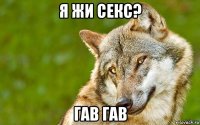 я жи секс? гав гав