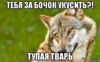 тебя за бочок укусить?! тупая тварь