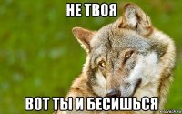 не твоя вот ты и бесишься