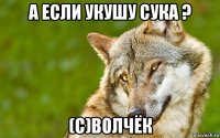 а если укушу сука ? (с)волчёк