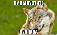 ну выпустите вулкана