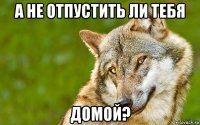 а не отпустить ли тебя домой?