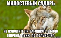 милостевый сударь не изволите ли заглянуть в мою опочивальню по полуночи?