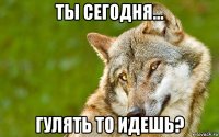 ты сегодня... гулять то идешь?