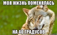 моя жизнь поменялась на 40 градусов