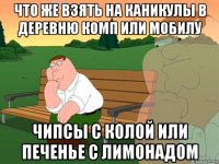 что же взять на каникулы в деревню комп или мобилу чипсы с колой или печенье с лимонадом