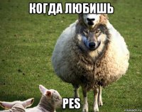 когда любишь pes