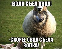 -волк съел овцу! -скорее овца съела волка!