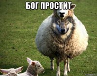 бог простит 