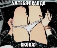 а у тебя правда skoda?