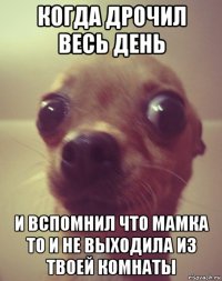 когда дрочил весь день и вспомнил что мамка то и не выходила из твоей комнаты