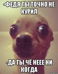 -федя ты точно не курил -да ты чё неее ни когда