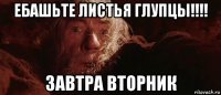 ебашьте листья глупцы!!!! завтра вторник