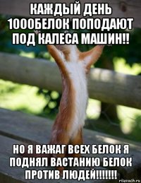 каждый день 1000белок поподают под калеса машин!! но я важаг всех белок я поднял вастанию белок против людей!!!!!!!