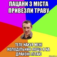 пацани з міста привезли траву тепе нахуя мені холодільник якщо я на драконі літаю