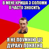 в мене криша з соломи її часто зносить я не поумнію це дураку понятно