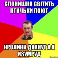 слонишко світить птичьки поют кролики дохнут а я изумруд