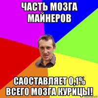 часть мозга майнеров саоставляет 0,1% всего мозга курицы!