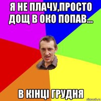 я не плачу,просто дощ в око попав... в кінці грудня