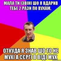 мала ти ізвіні шо я вдарив тебе 2 рази по вухам, откуда я знав шо то не мухі а сєргі в віді мух