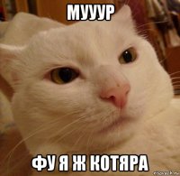 мууур фу я ж котяра