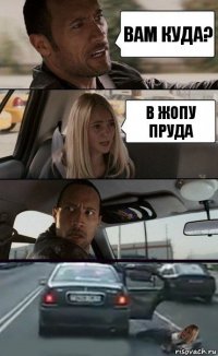 вам куда? в жопу пруда