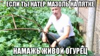 если ты натер мазоль на пятке намажь живой огурец