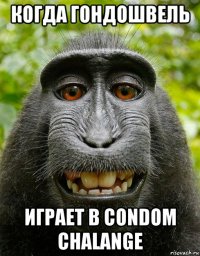 когда гондошвель играет в condom chalange