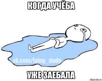 когда учёба уже заебала