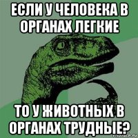 если у человека в органах легкие то у животных в органах трудные?