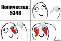 Количество: 5348