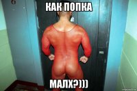 как попка малх?)))