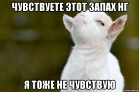 чувствуете этот запах нг я тоже не чувствую