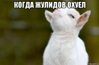 когда жулидов охуел 