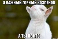 я важный горный козлёнок а ты не кто