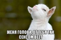  женя голова, от тебя так сексом веет