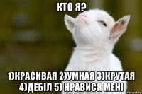 кто я? 1)красивая 2)умная 3)крутая 4)дебіл 5) нравися мені